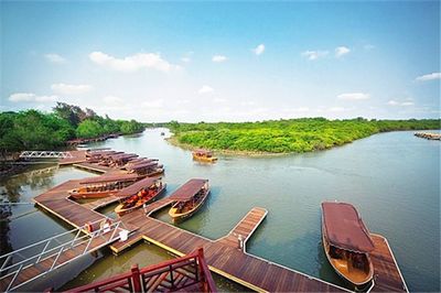 乡村旅游与康养旅游融合发展的路径与策略