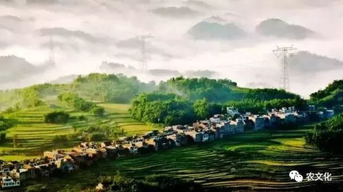 休闲农业与乡村旅游资源的开发策略与实践