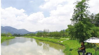 从昔日洼地到今日景区 村企抱团，绘就旅游开发新画卷